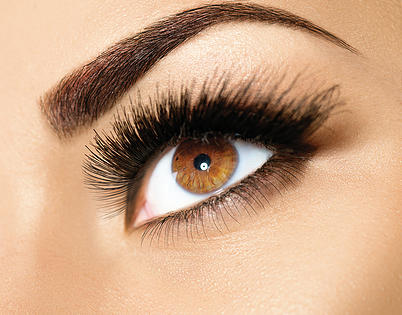 Brown Eye Makeup. Eyes Make-up. Beautiful Eyes Make up detail, p